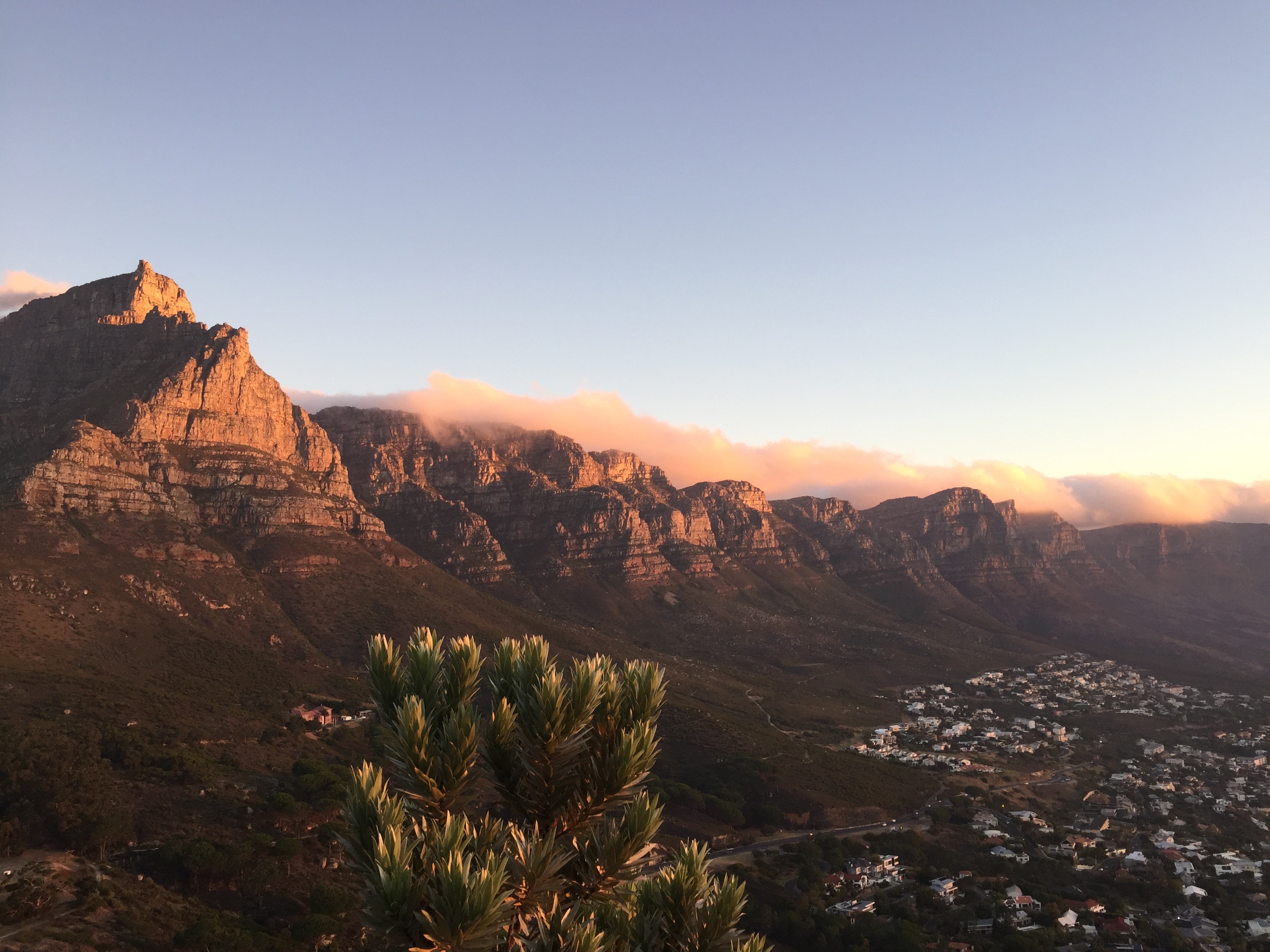 Table Mountain
